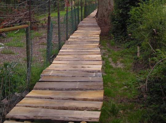 Het knuppelpad Knuppelpad